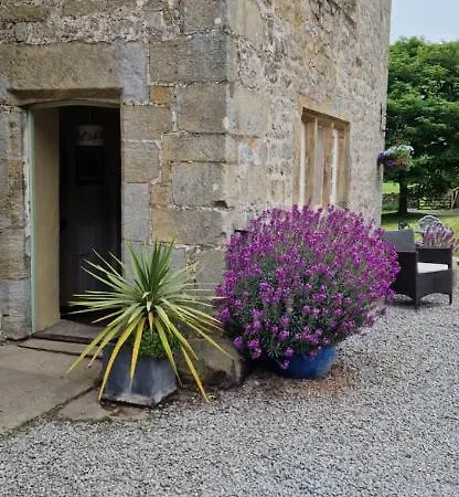 公寓 Braithwaite Hall